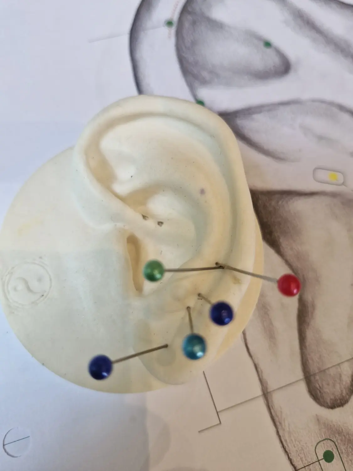 Orthopädie , Unfallchirurgie , Diagnostik & Therapie , Manuelle Medizin , Osteopathie , Akupunktur / Naturheilverfahren , PRP- / Eigenplasma-Therapie , Bewegungsapparat , Dr.Stegmaier , Neubiberg